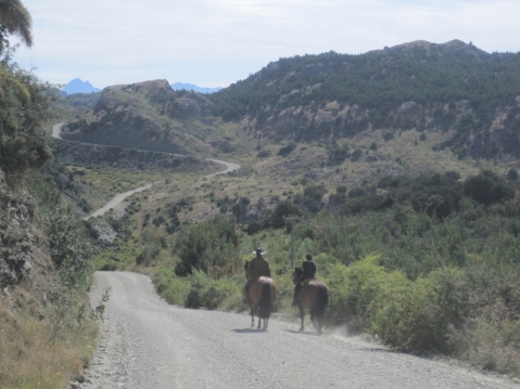 Tamed horses riding along the Carretera Austral